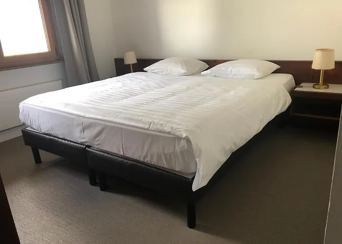 Galion & Restaurant 3* Cheseaux-sur-Lausanne